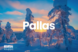 Kotimaa-Pallas-Talvi
